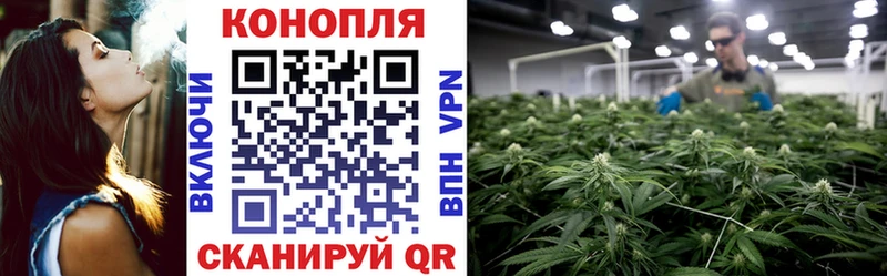 Купить Codein  Бошки Шишки  АМФ  Меф мяу мяу  А ПВП  ГАШИШ  Микунь