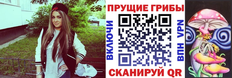 Псилоцибиновые грибы Psilocybe  Купить  Микунь 